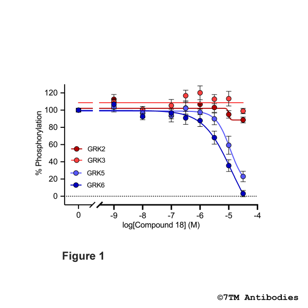GRK5/6 Inhibitor (Cmpd 18)