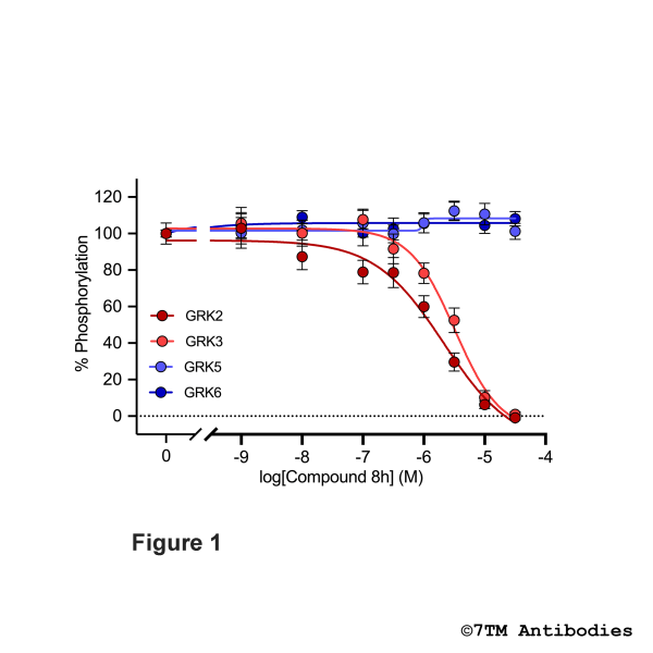 GRK2/3 Inhibitor (Cmpd 8h)